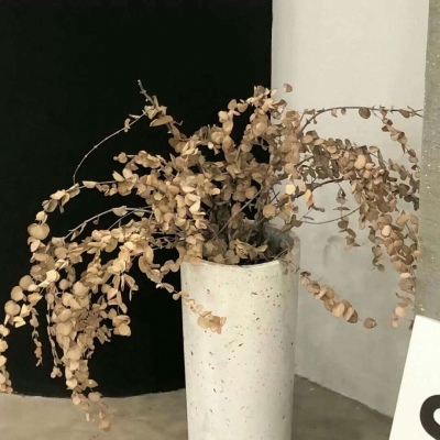 Furry兽设设计干货福瑞交流群